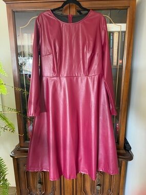 Women's Long-Sleeve Faux Leather Fit & Flare Dress in Wine